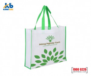 Túi vải hình hộp có hông - TCH16